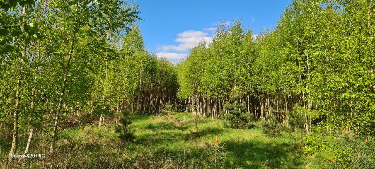 Mazovia Village - Domki Blisko Suntago Puszcza Marianska Экстерьер фото